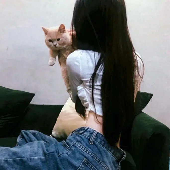 乱斗美人